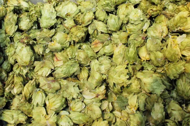 重回帰分析で将来のビール出荷量を予測してみた Crossknowledge